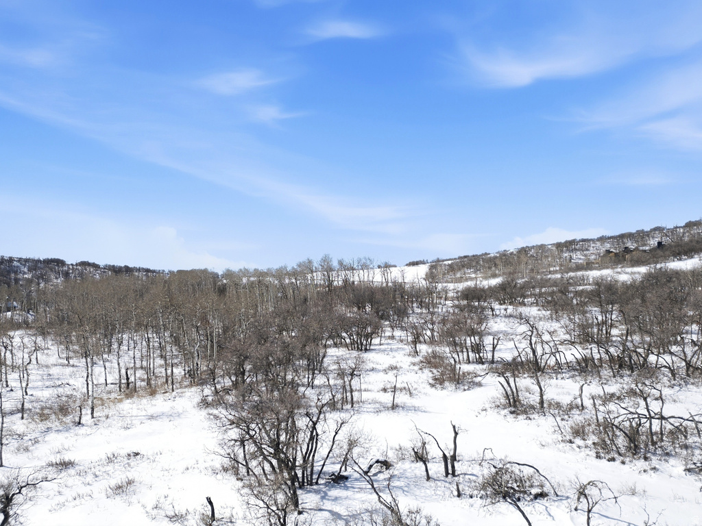 1509  PRESERVE DR Park City, UT 84098