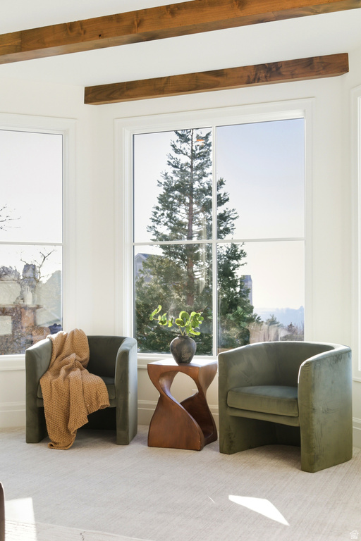 10043 S STONEWALL CT Sandy, UT 84092