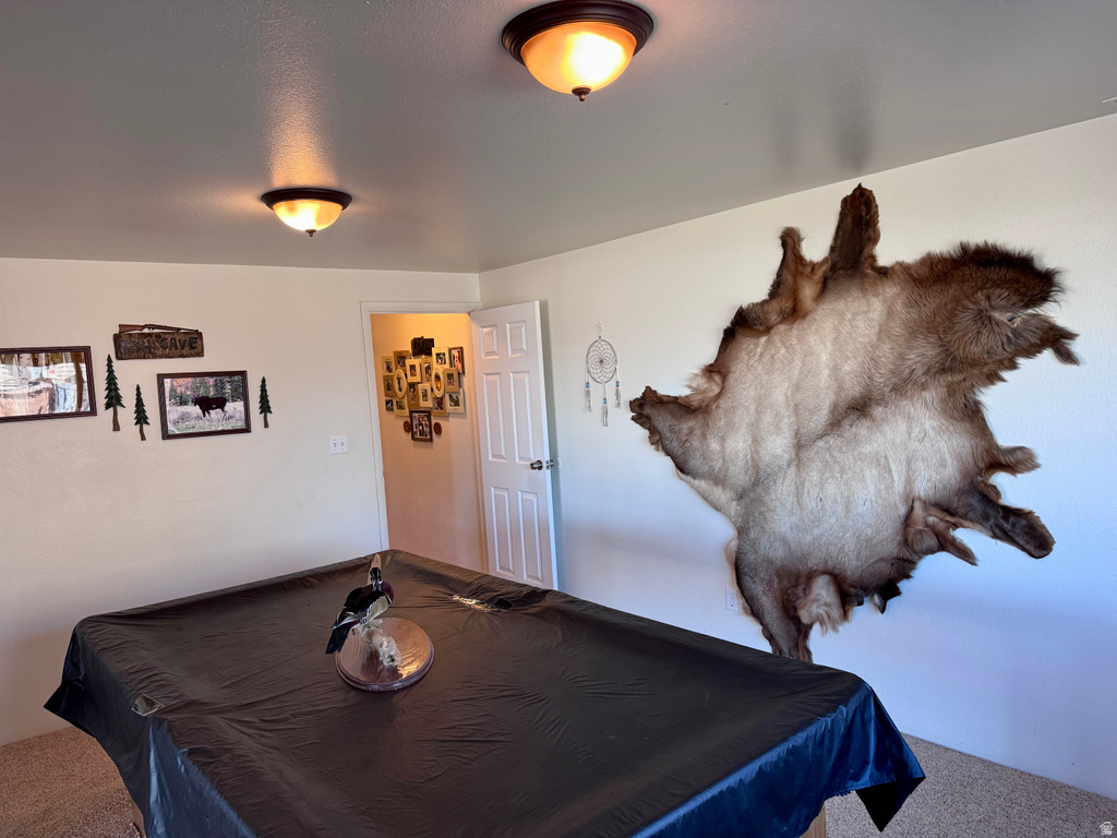 569 E PARK DR Elk Ridge, UT 84651