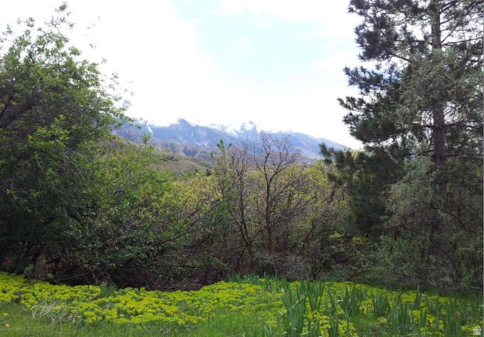 3720 E GOLDEN OAKS DR Cottonwood Heights, UT 84121