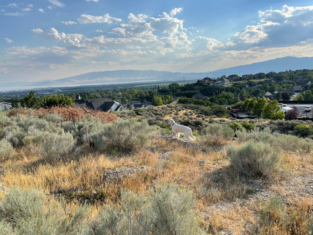 10237 N BAYHILL DR Cedar Hills, UT 84062