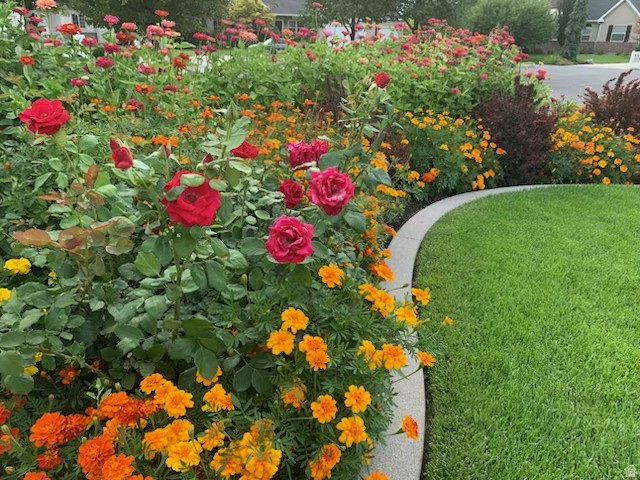 5537 W KENSINGTON CIR Highland, UT 84003