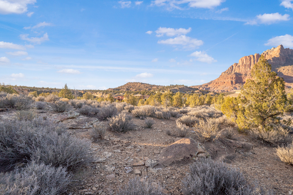 3008  NAVAJO WAY Springdale, UT 84767