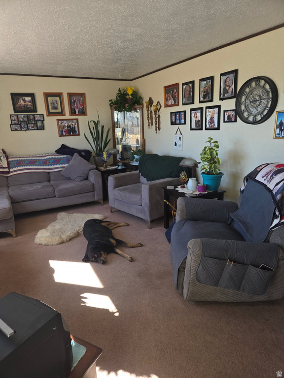 385 N 5750 E Fort Duchesne, UT 84026