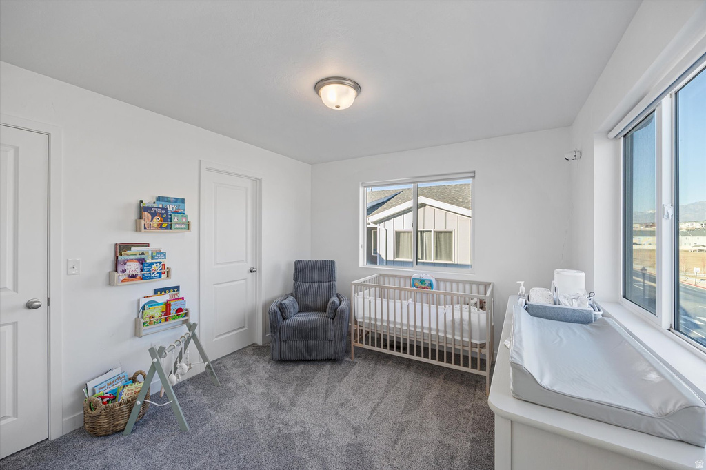 15313 S REINS WAY Bluffdale, UT 84065