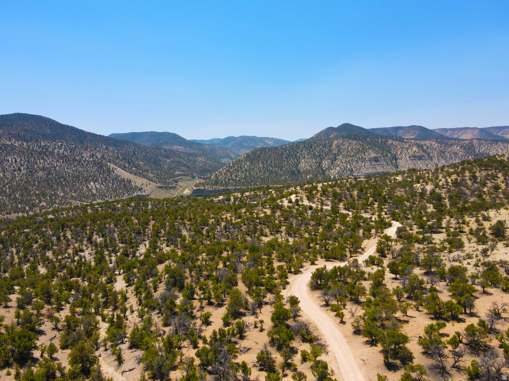 35700  STRAWBERRY RIVER RD Duchesne, UT 84021