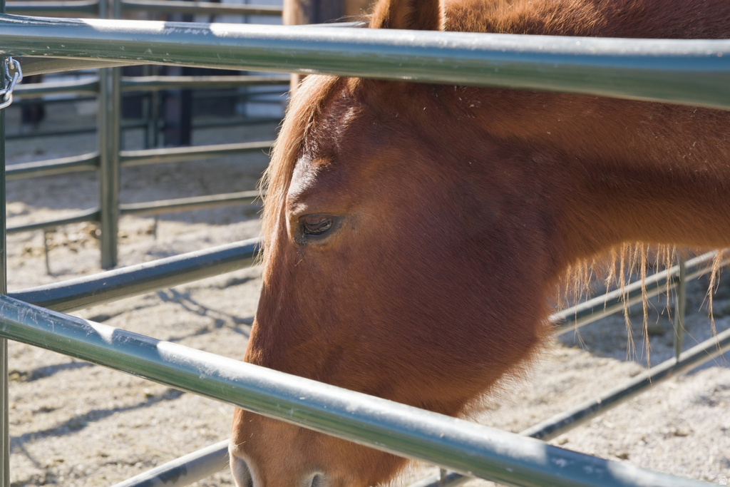 6770 W 400 S Mendon, UT 84325