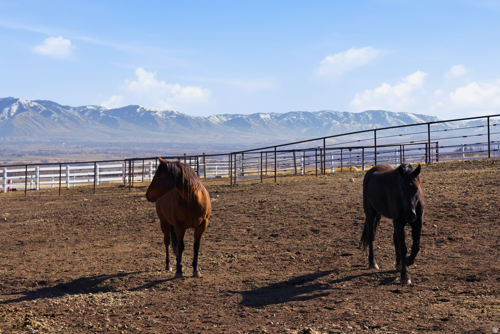 6770 W 400 S Mendon, UT 84325