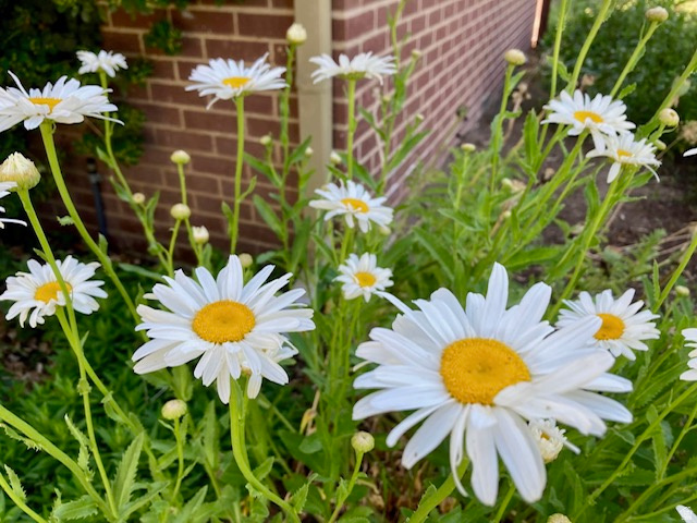 3984 S LUETTA DR Millcreek, UT 84124