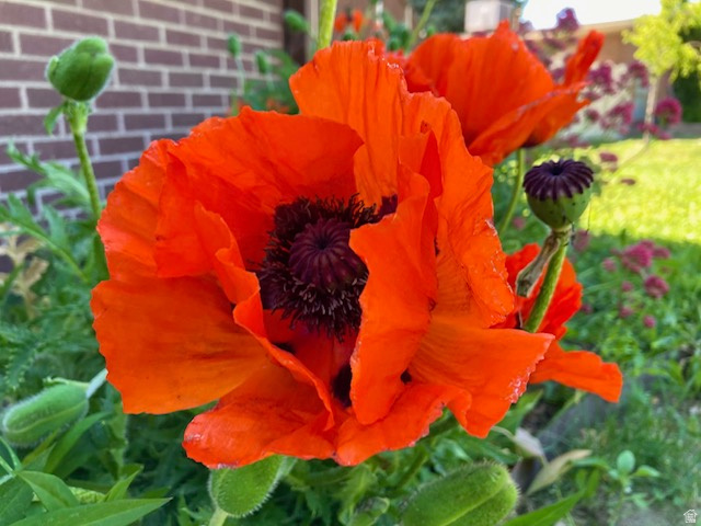 3984 S LUETTA DR Millcreek, UT 84124