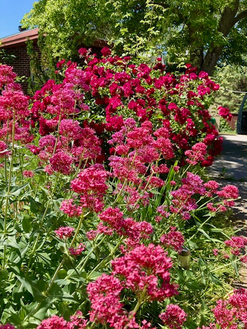 3984 S LUETTA DR Millcreek, UT 84124