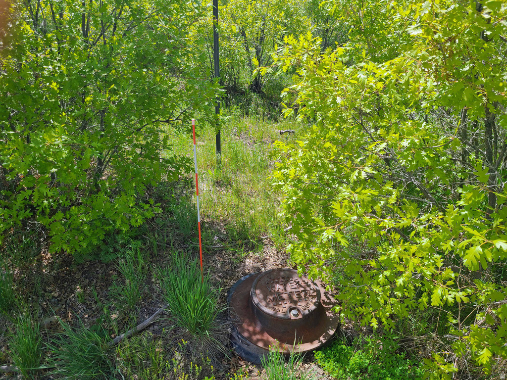 6 W THUNDER CLOUD CRK Indianola, UT 84629
