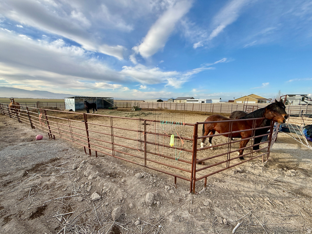 4319 ROSE SPRINGS ROAD RD Erda, UT 84074