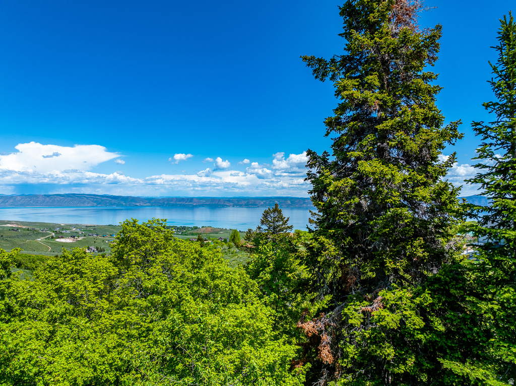 374 COLD SPRINGS DR Fish Haven, ID 83287