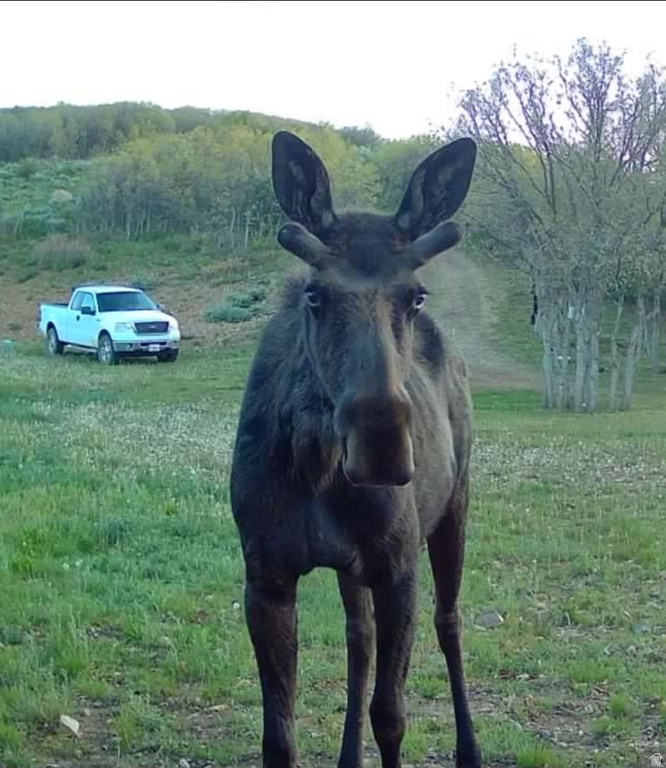 11360 SKYLINE DR #170 Echo, UT 84024