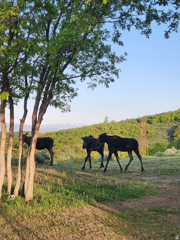 11360 SKYLINE DR #170 Echo, UT 84024