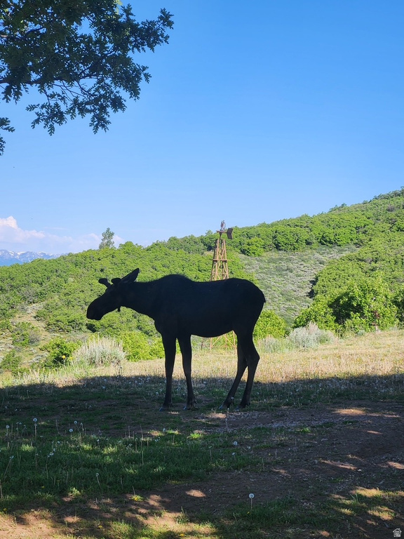 11360 SKYLINE DR #170 Echo, UT 84024