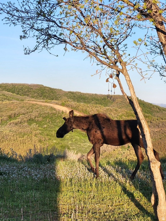 11360 SKYLINE DR #170 Echo, UT 84024