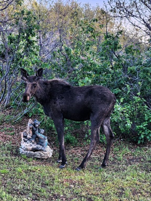 11360 SKYLINE DR #170 Echo, UT 84024