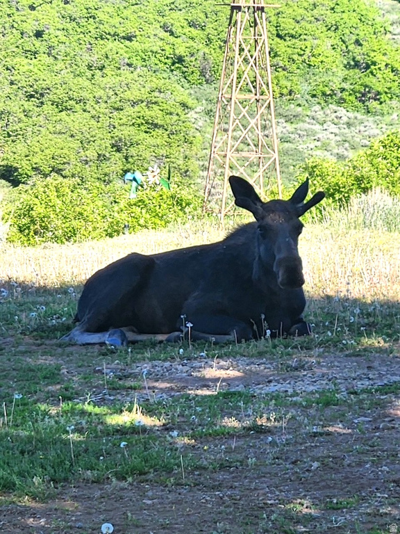 11360 SKYLINE DR #170 Echo, UT 84024