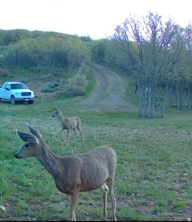 11360 SKYLINE DR #170 Echo, UT 84024