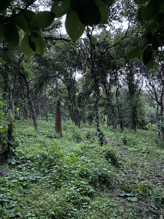 414 JUNIPER CT Wellsville, UT 84339