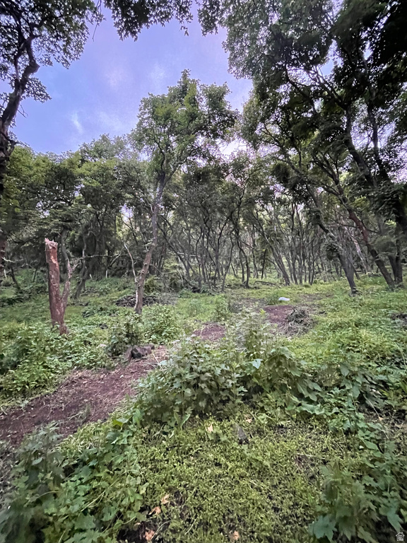 414 JUNIPER CT Wellsville, UT 84339