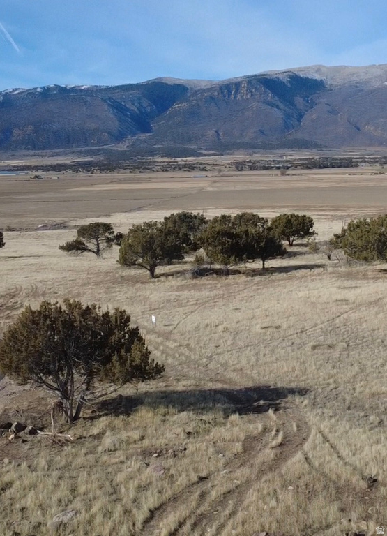 22427 N 2100 E Fountain Green, UT 84632