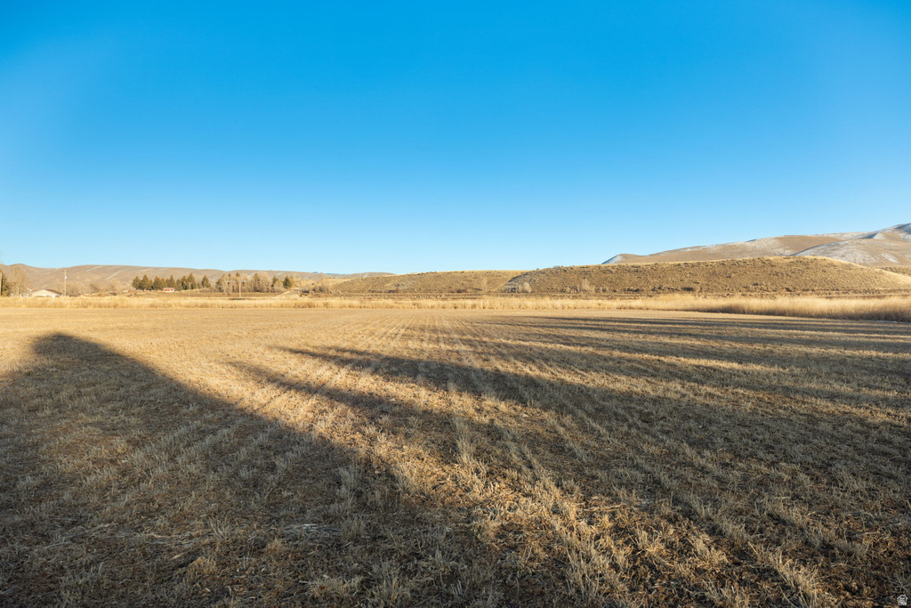 147  PATRIOT LN Dingle, ID 83233