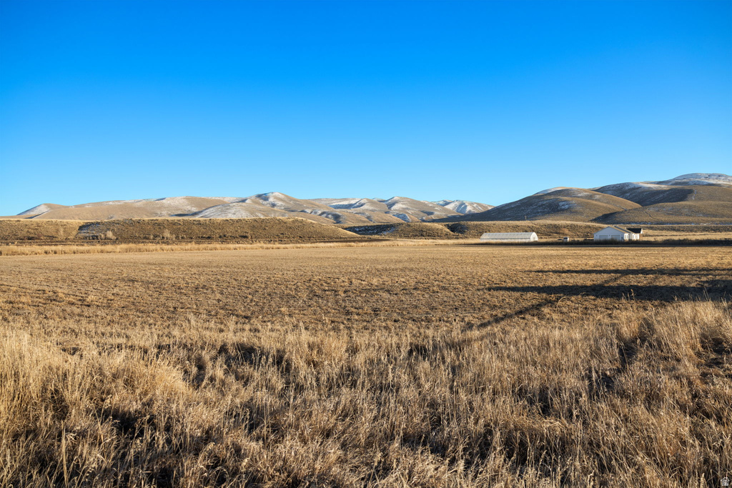 147  PATRIOT LN Dingle, ID 83233