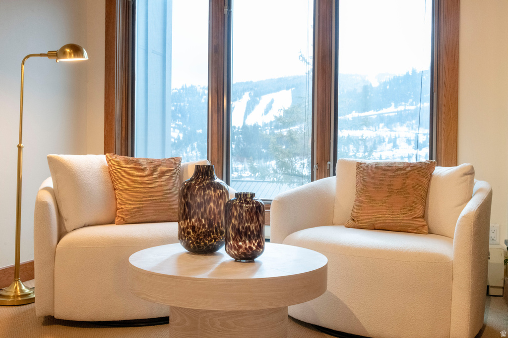 1279 PINNACLE DR #75 Park City, UT 84060