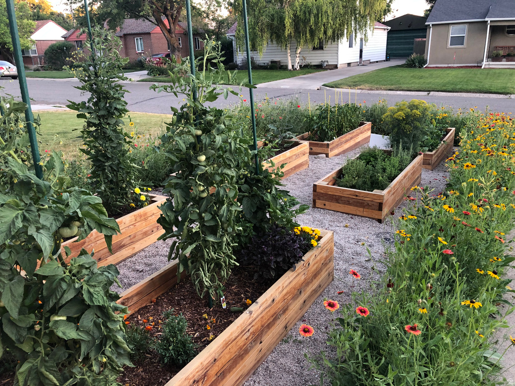 1245 E RIDGEDALE LN Salt Lake City, UT 84106