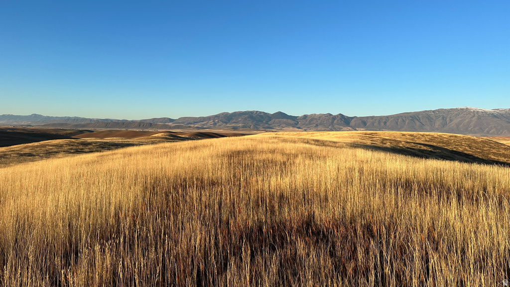 255 W MAIL ROUTE RD Preston, ID 83263