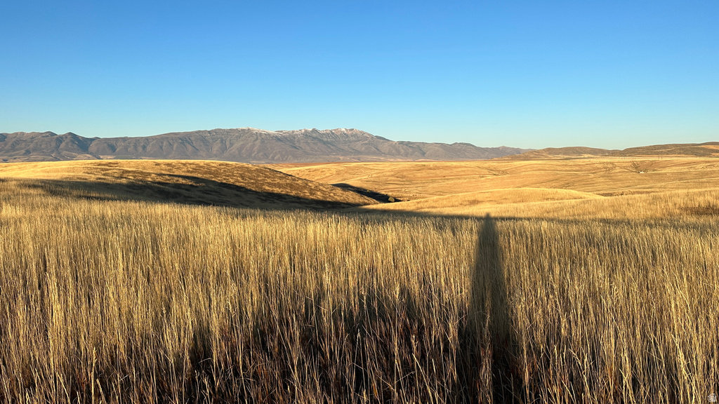 255 W MAIL ROUTE RD Preston, ID 83263