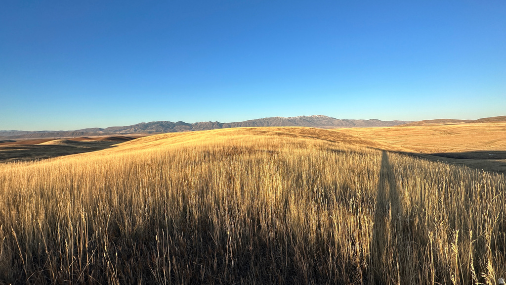 255 W MAIL ROUTE RD Preston, ID 83263