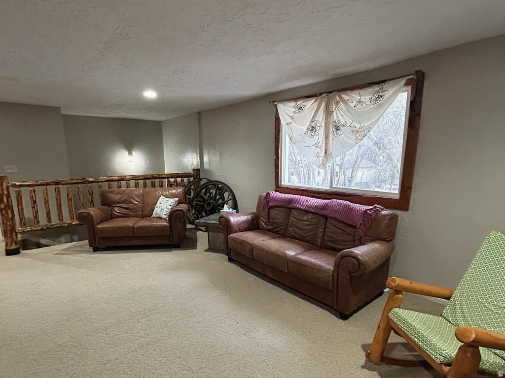 9 W MINERS ST Stockton, UT 84071