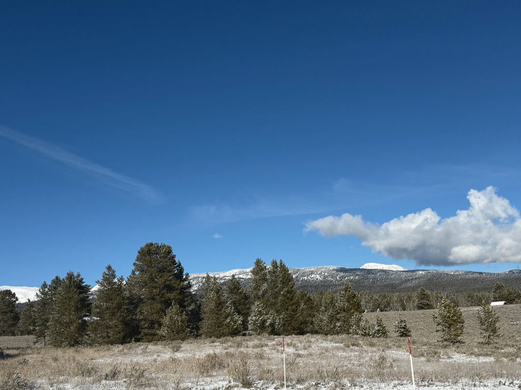 3990  DAVID DR Island Park, ID 83429