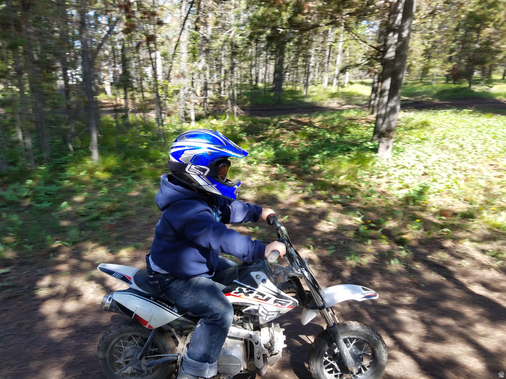 3990  DAVID DR Island Park, ID 83429