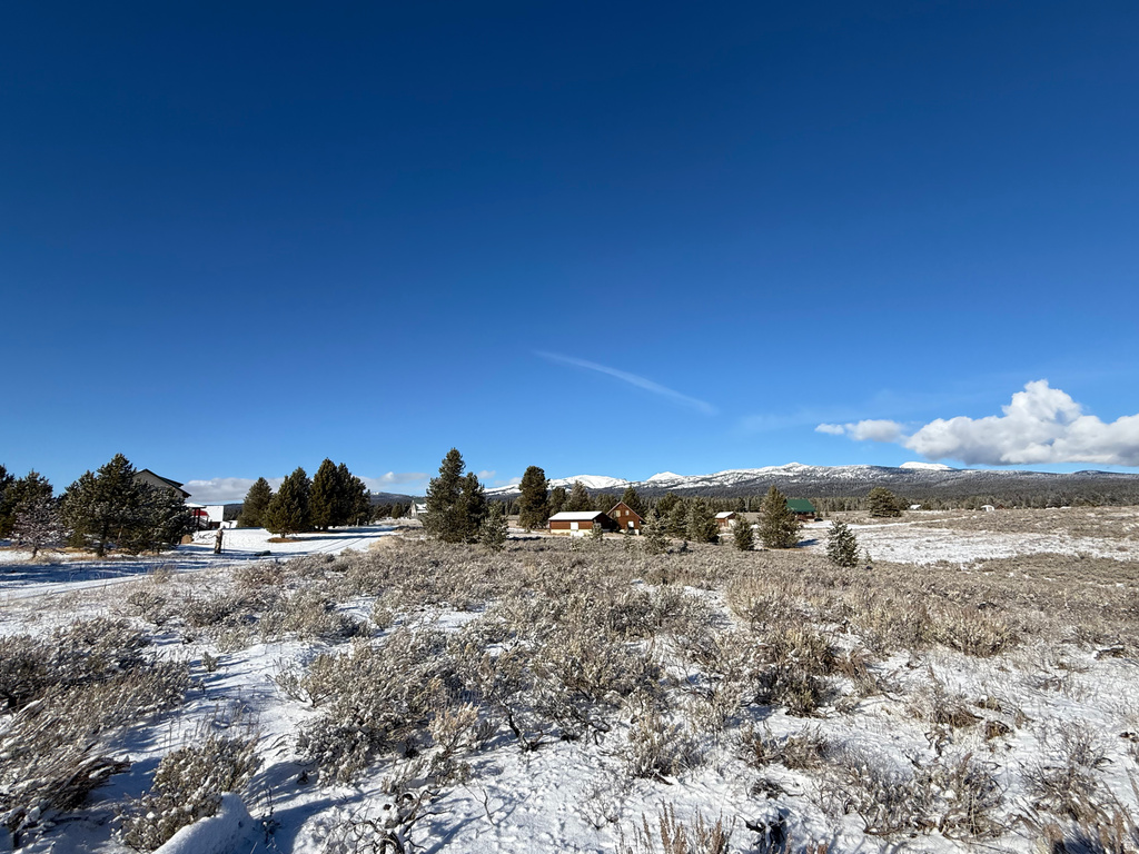 3990  DAVID DR Island Park, ID 83429