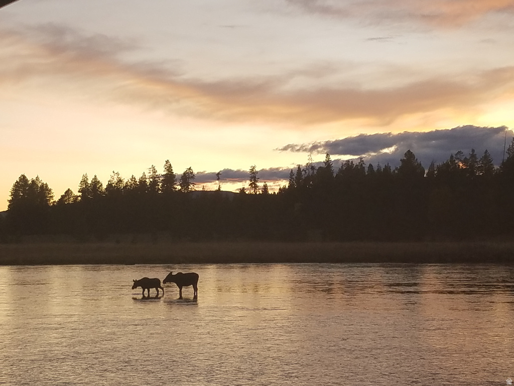 3990  DAVID DR Island Park, ID 83429