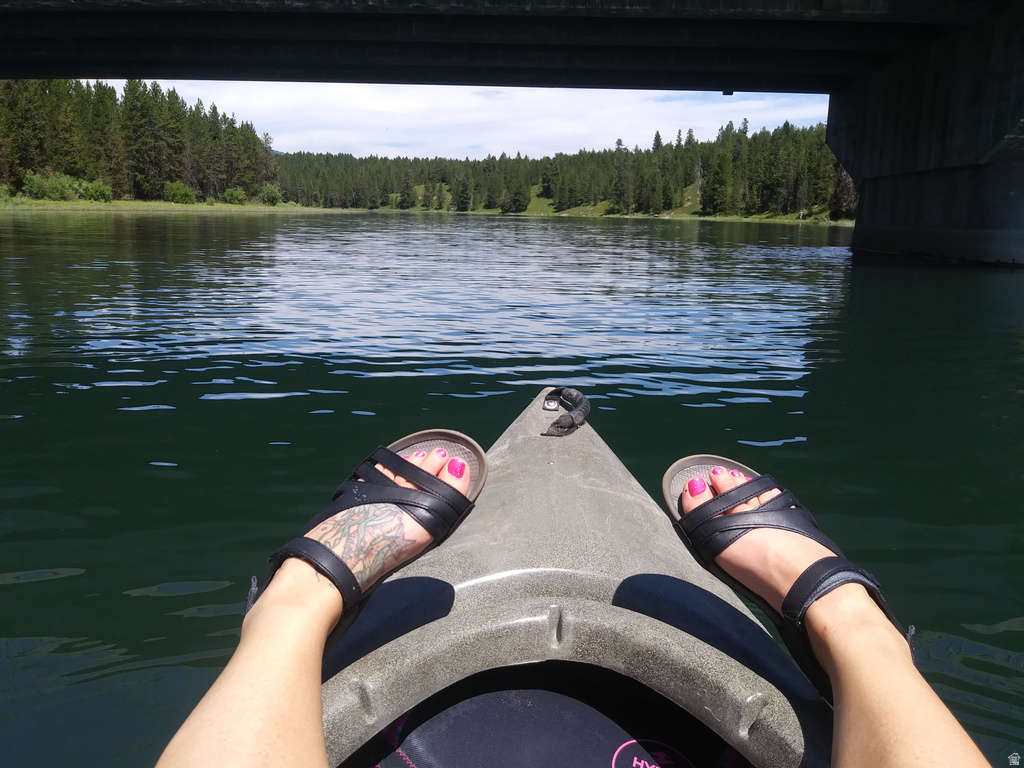 3990  DAVID DR Island Park, ID 83429