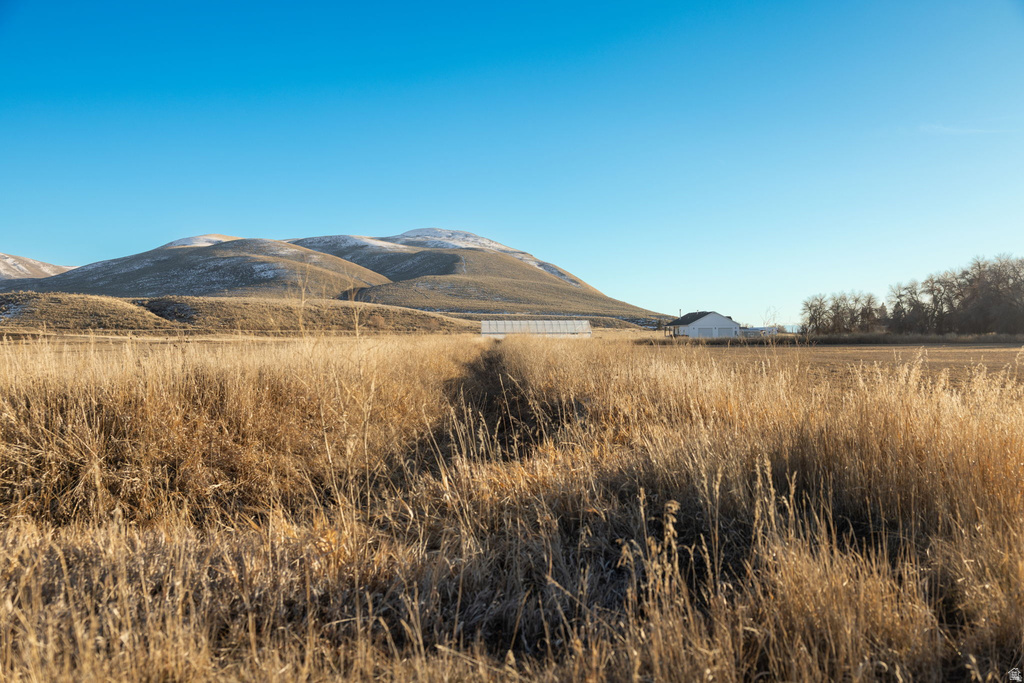 181  PATRIOT LN Dingle, ID 83233