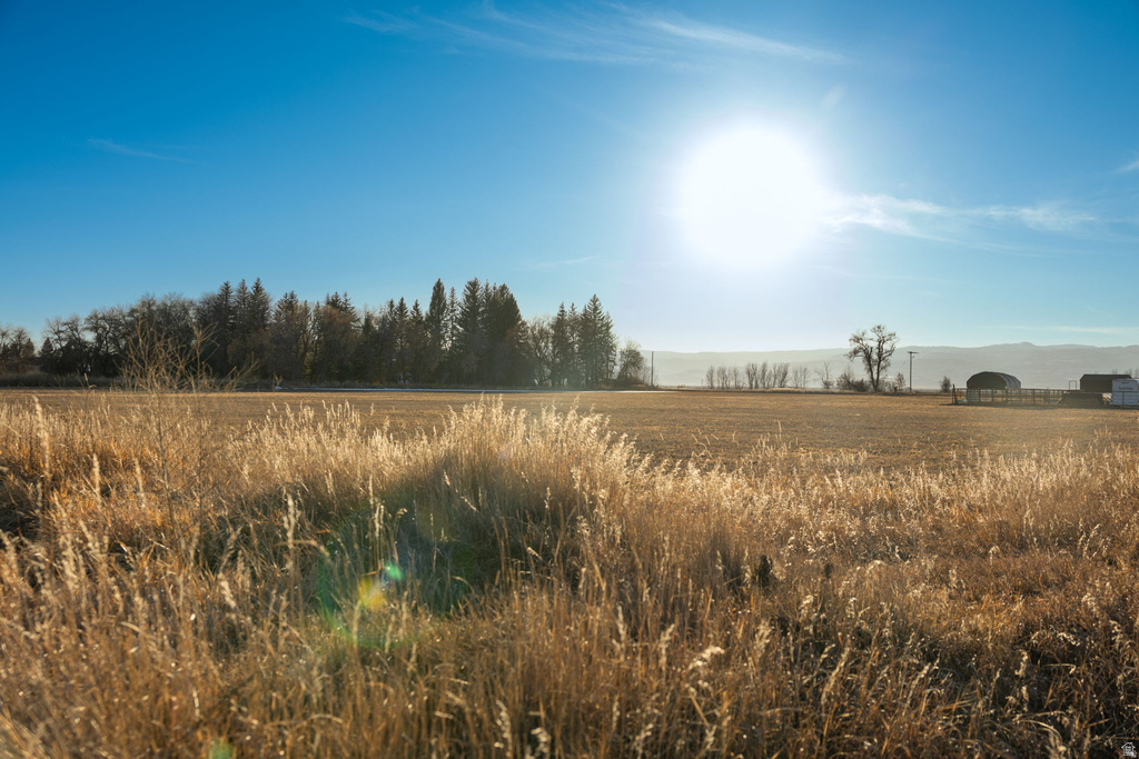 181  PATRIOT LN Dingle, ID 83233