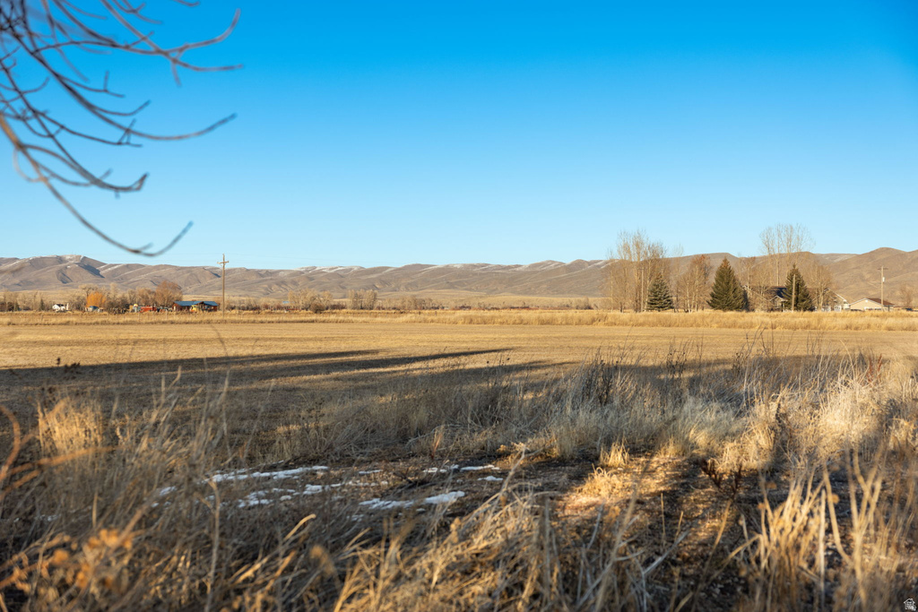 181  PATRIOT LN Dingle, ID 83233