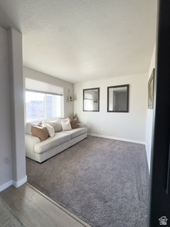 1140 W CANTLE DR Bluffdale, UT 84065