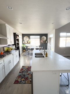 1140 W CANTLE DR Bluffdale, UT 84065