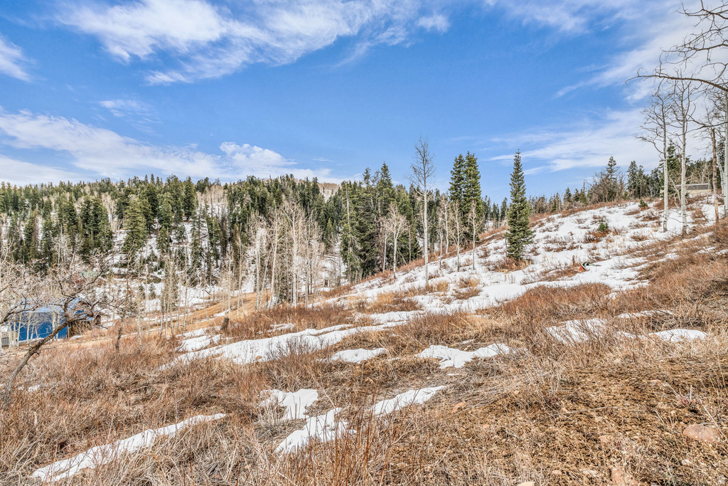 1365 W NAVAJO RD Coalville, UT 84017