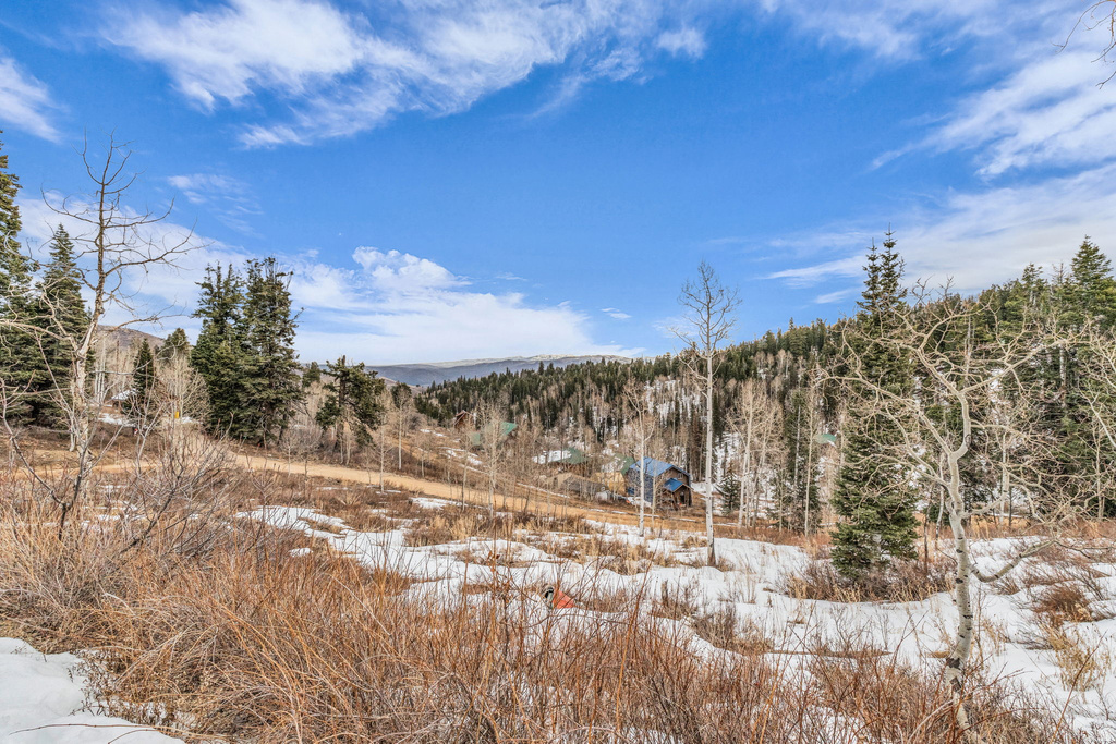 1365 W NAVAJO RD Coalville, UT 84017