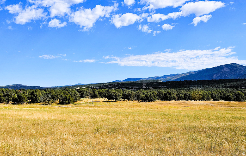 7  JUNIPER FLDS Fairview, UT 84629