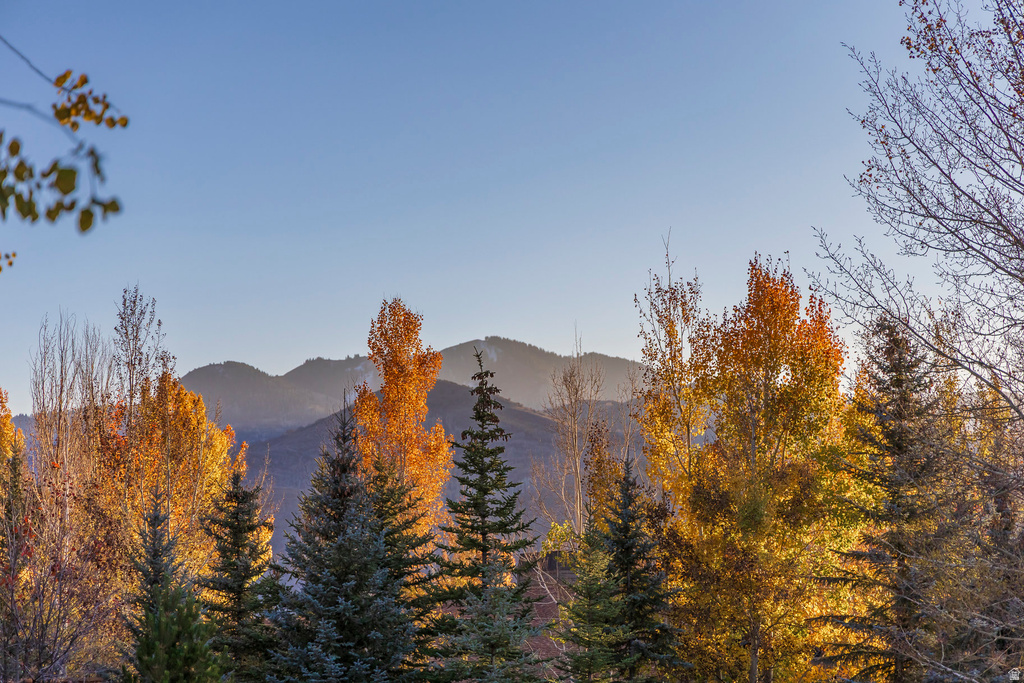 2546 LOWER LANDO LN Park City, UT 84098